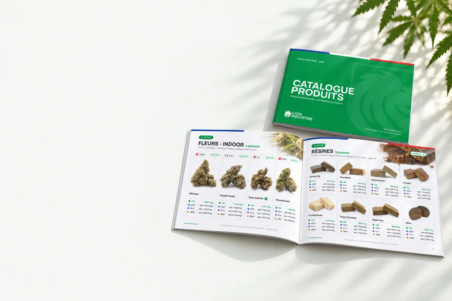 Le catalogue Lion Industrie 2026 ouvert sur les pages fleurs et résines