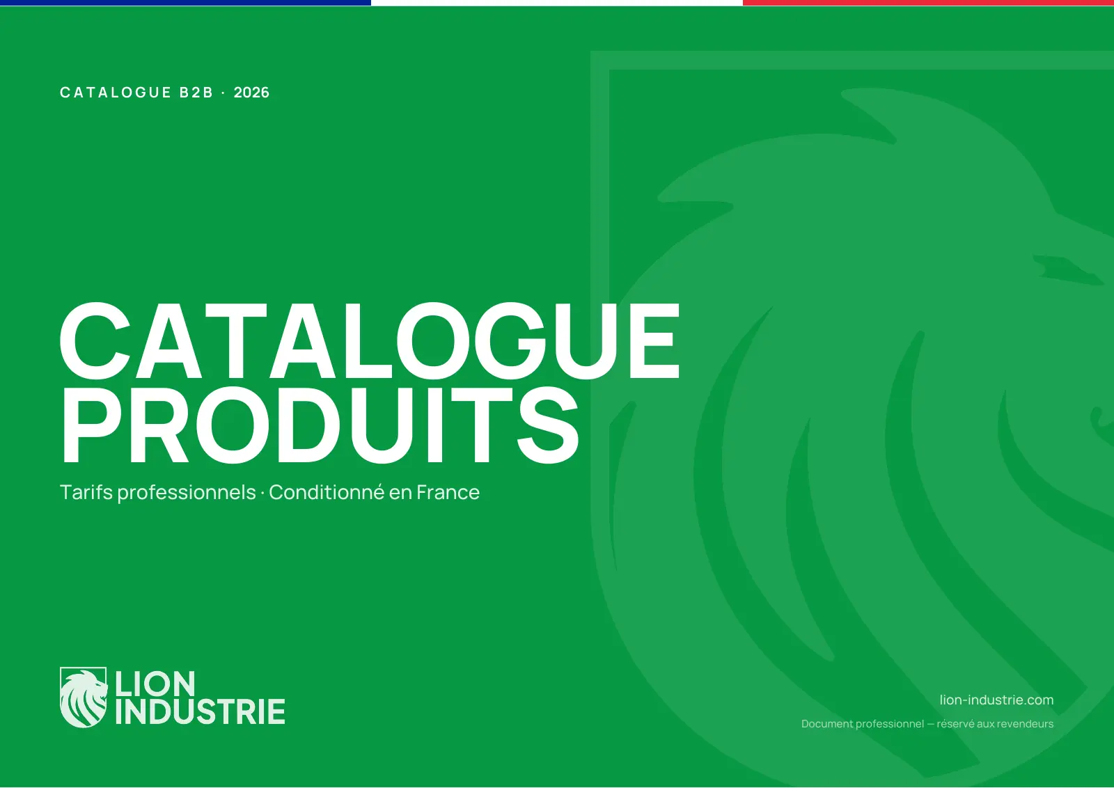 Aperçu de la couverture verte du catalogue professionnel Lion Industrie 2026