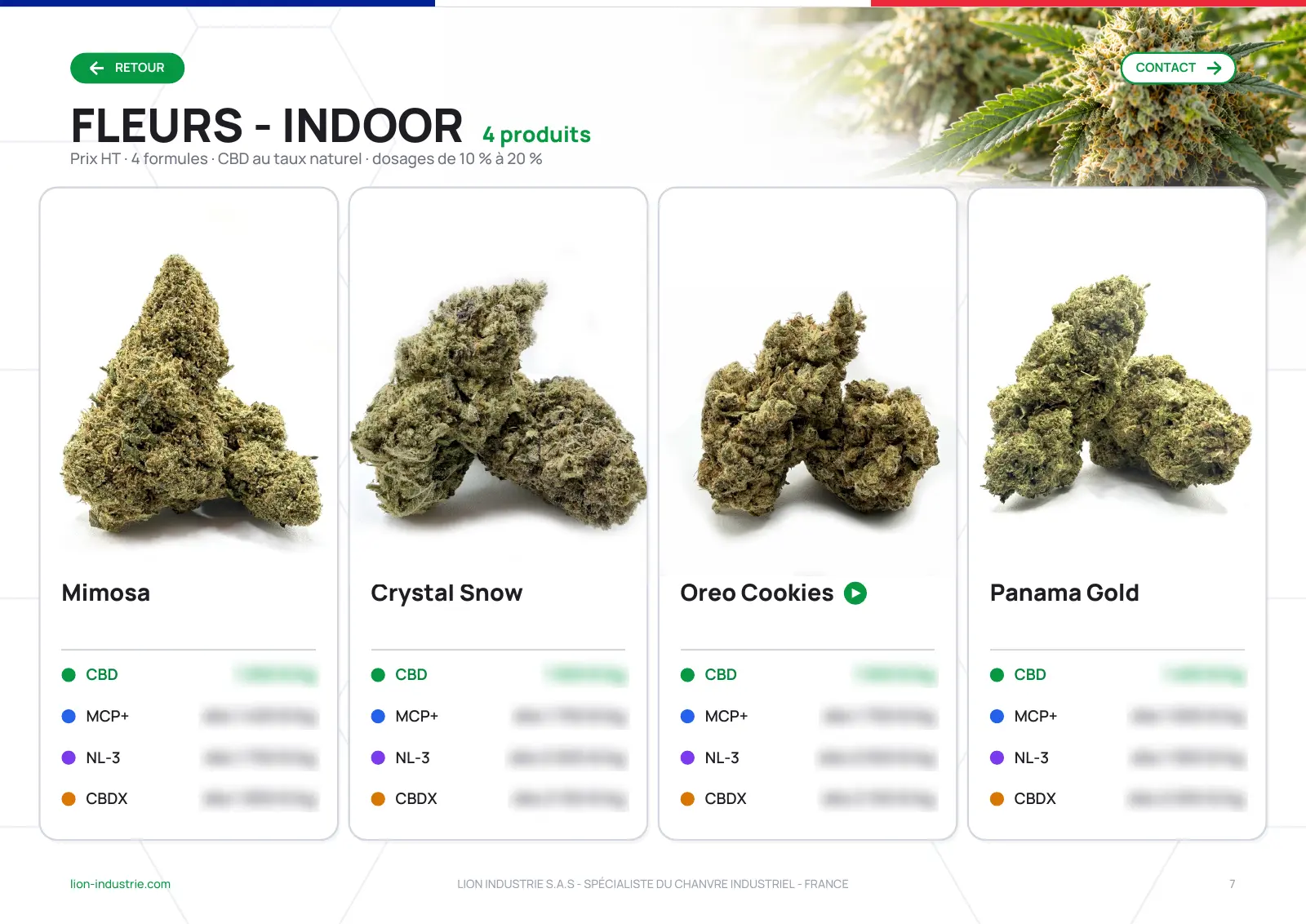 Page Fleurs Indoor du catalogue : Mimosa, Crystal Snow, Oreo Cookies et Panama Gold